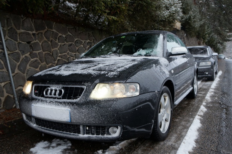 874935DSC02477Copie.jpg