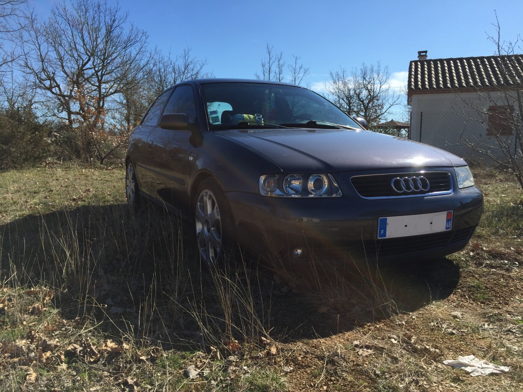 875306IMG1716.jpg