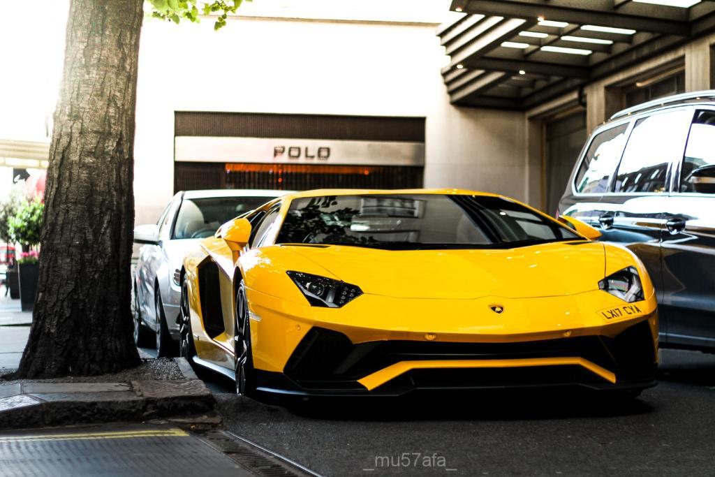 8778274246LAMBORGHINIAVENTADOR.jpg