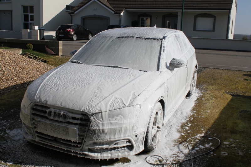 878027IMG8315.jpg