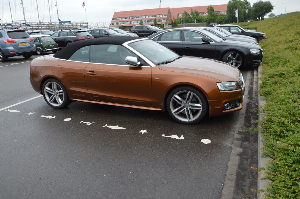 878196779S5.jpg