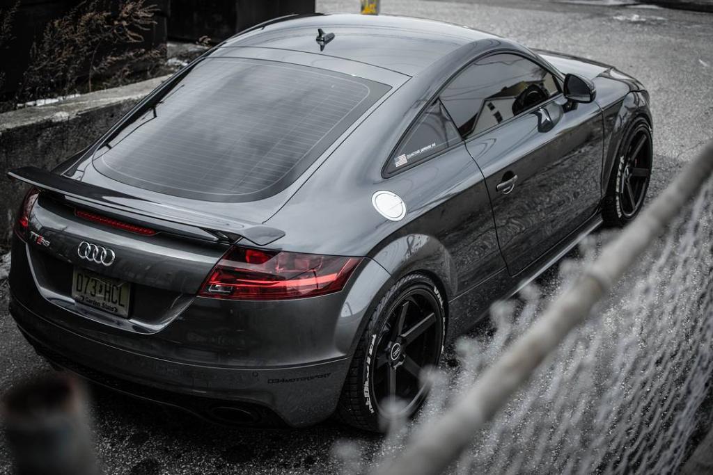 878307AUDITTRS2451.jpg