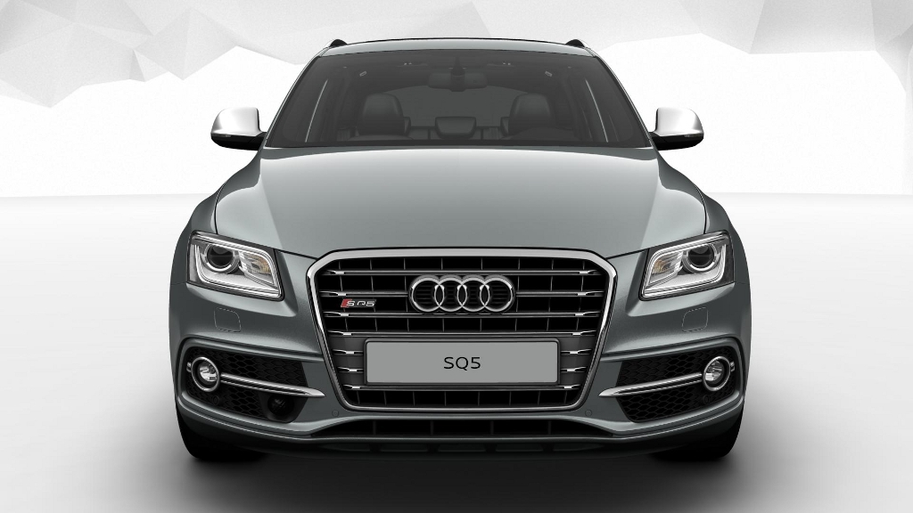 878794AUDISQ5075.jpg