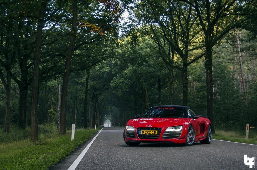 879471R8GT1554.jpg