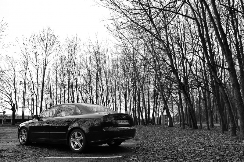 88050305122011DSC0381.jpg