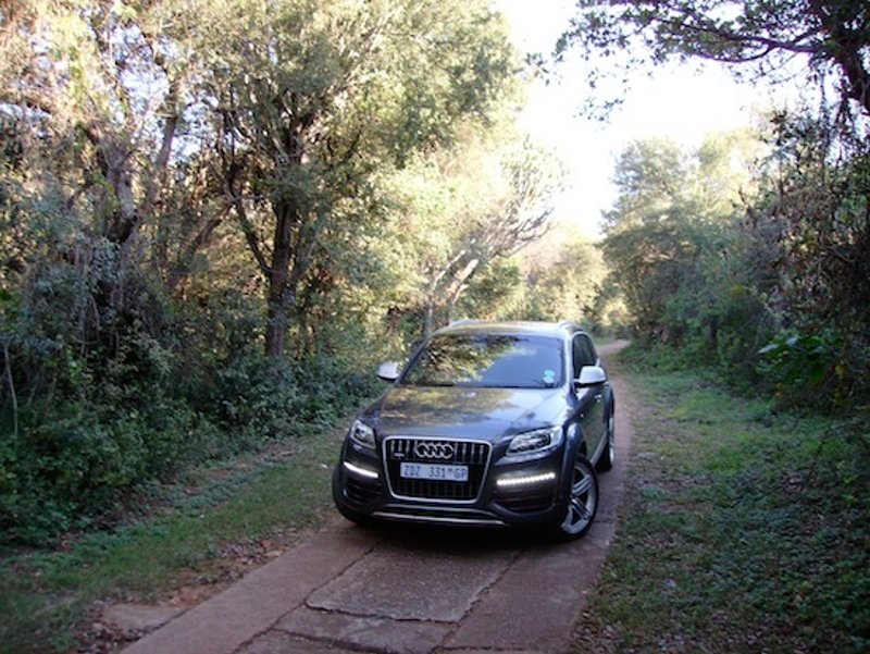 881861266Q7V12ESQUIROU.jpg