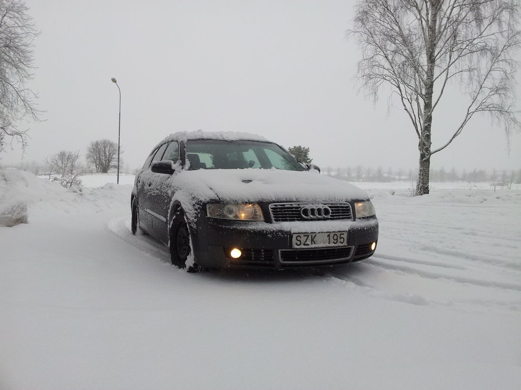883154929NEIGE.jpg