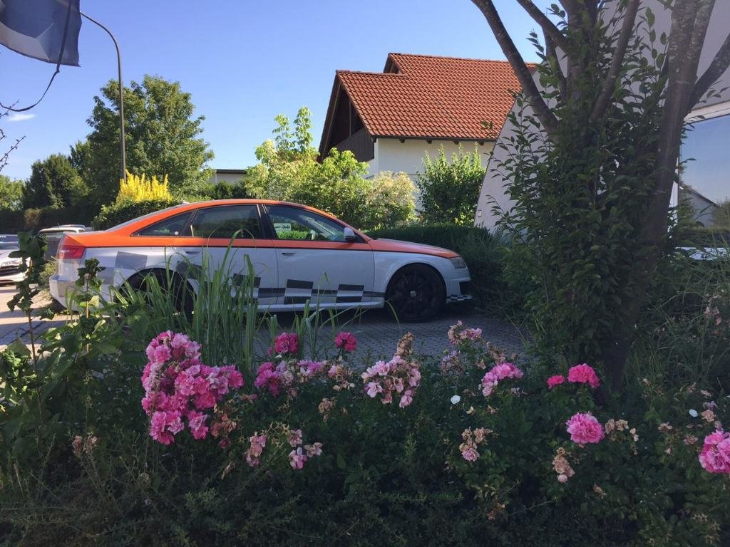 883823RS61808.jpg