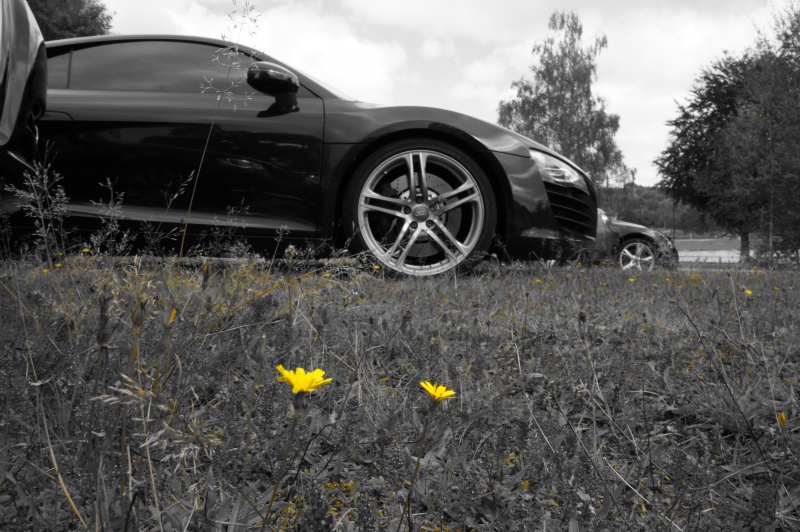 883912DSC00470.jpg