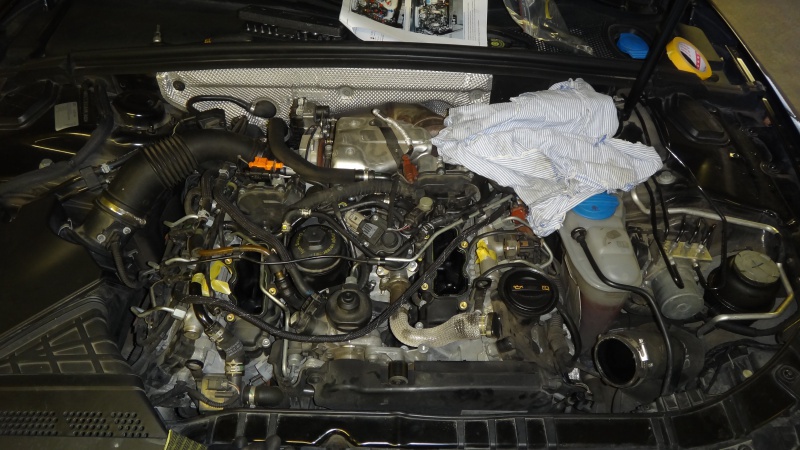 887781DSC04306.jpg