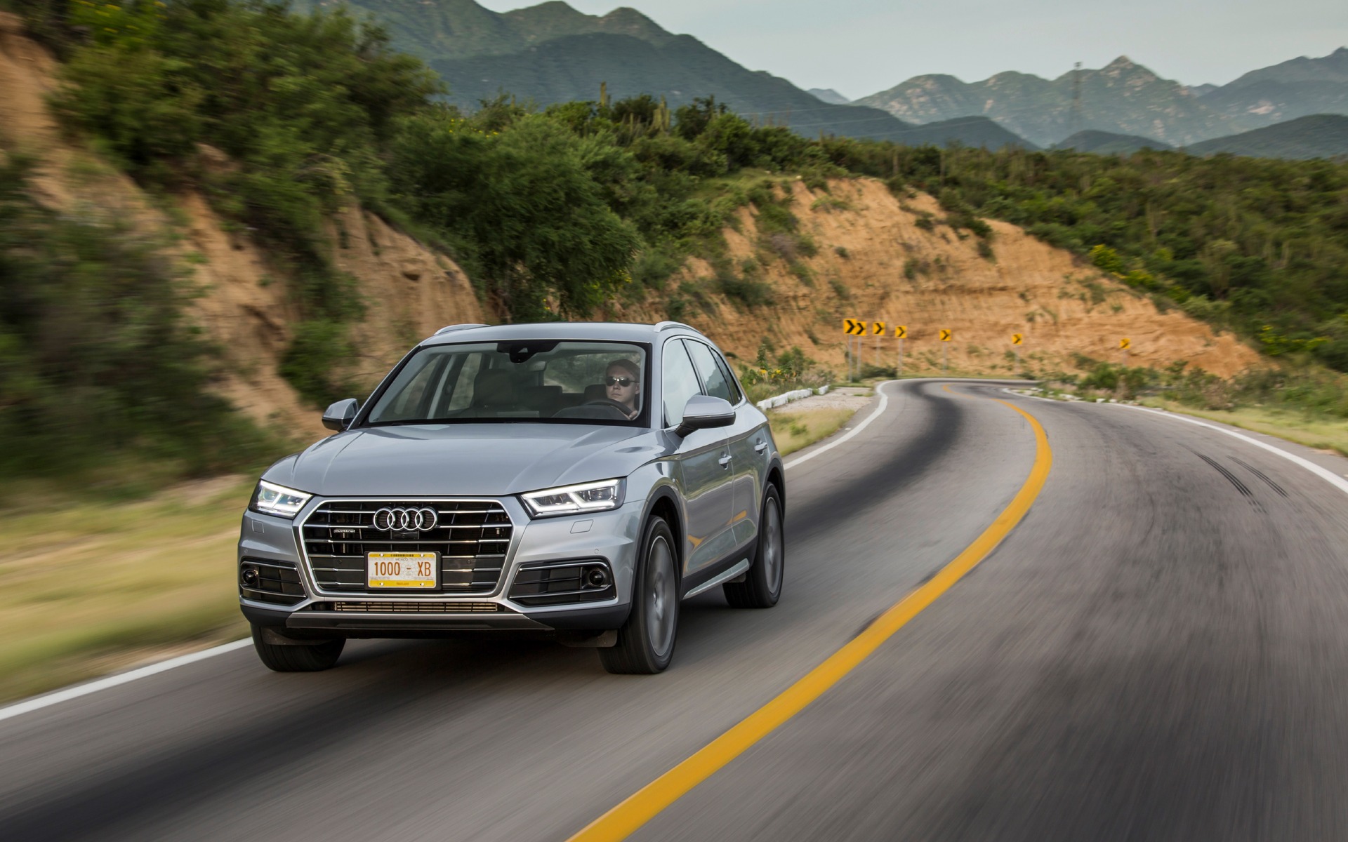 8923542678512017AudiQ5.jpg