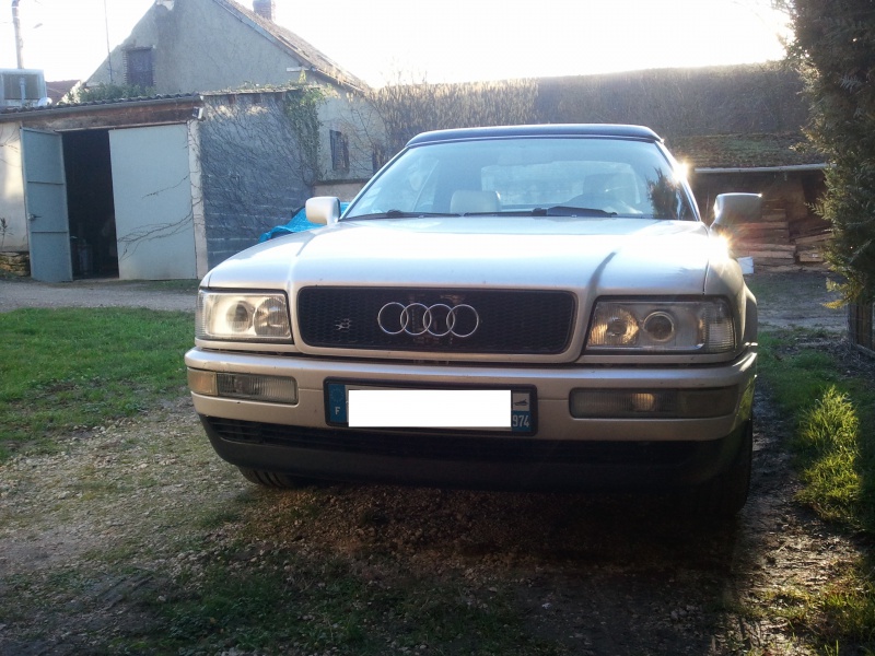 893930Photo5543a.jpg