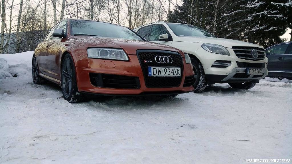 895546RS62421.jpg