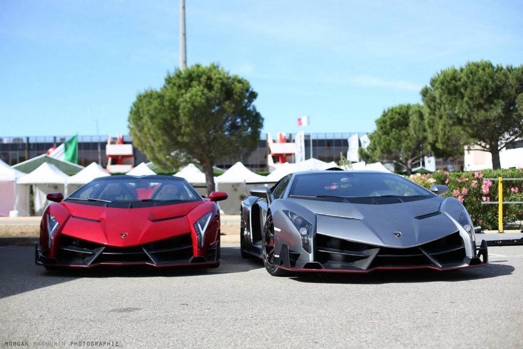 895606VENENO243.jpg