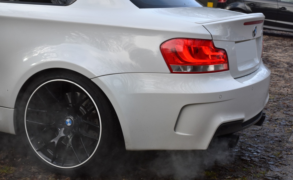 896778DSC00942x.jpg