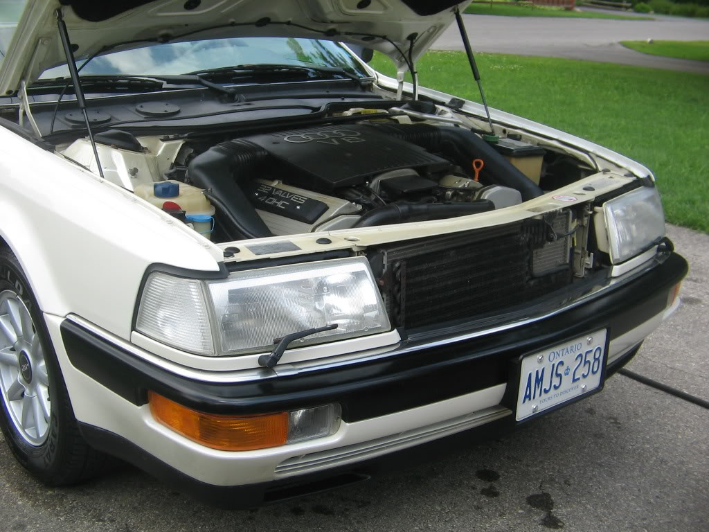 897058IMG1307jpgoriginal.jpg
