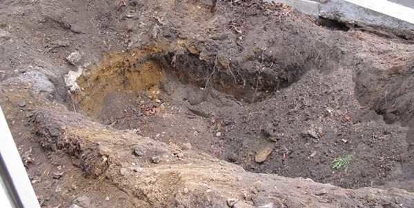 fosse-sans-cuve_imagesia-com_tpt3_large.