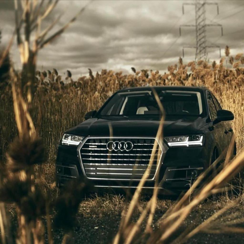900777Q7MK21416.jpg