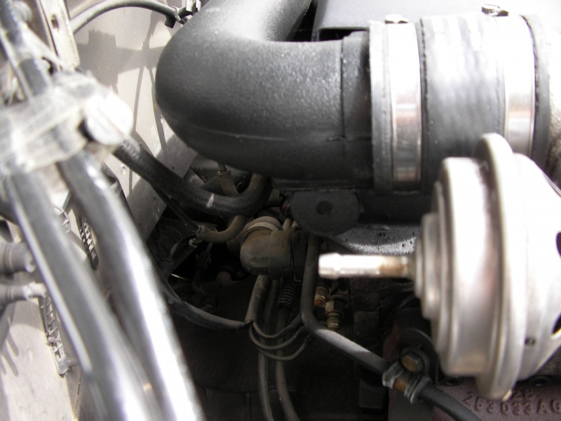 904531SANY0019.jpg