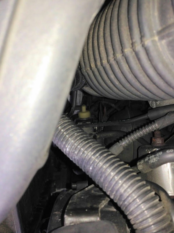 906803N75.jpg