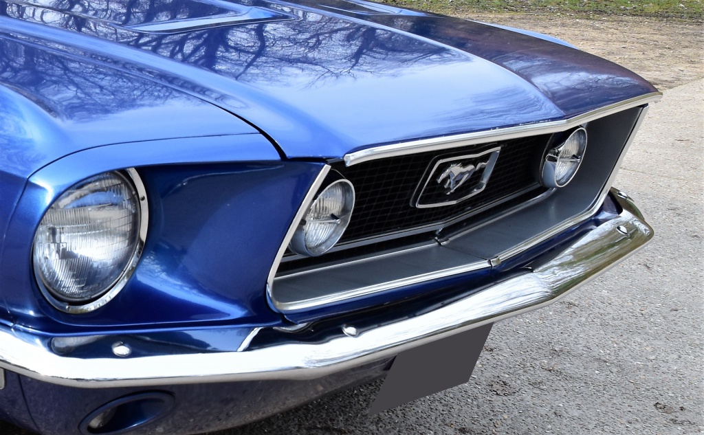 908181DSC00273x.jpg