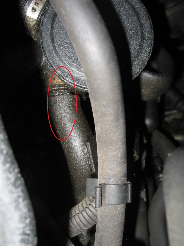 910197IMG6327.jpg