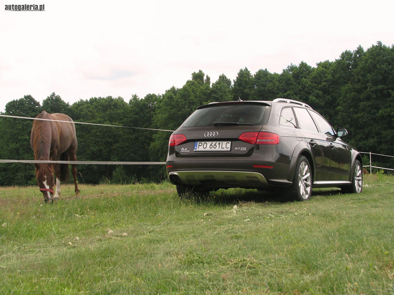 91218549AUDIA4ALLROAD.jpg
