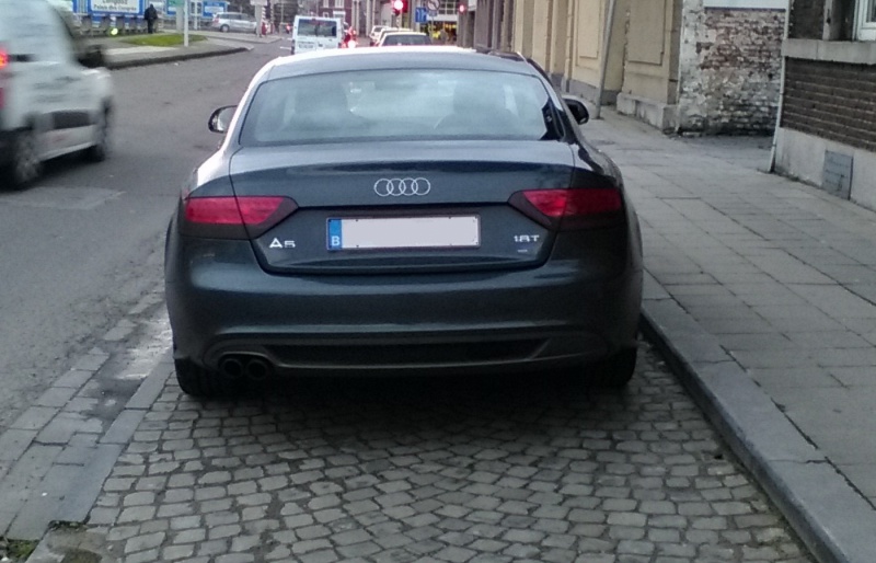 913219modarriere2.jpg
