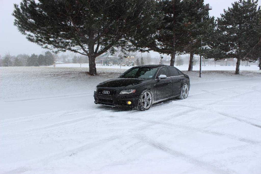 9137351291NEIGE.jpg