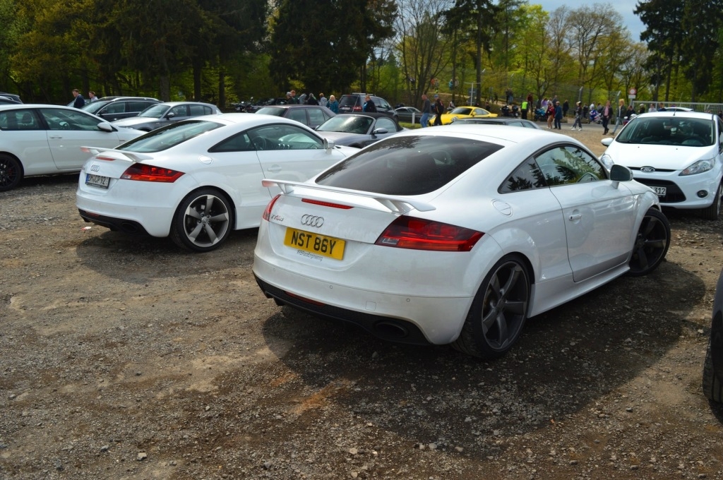 913765AUDITTRS1558.jpg