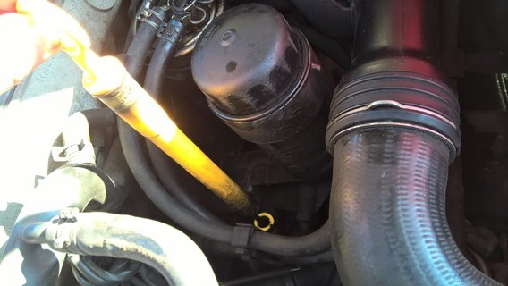 img-7024614ae8.jpg?v=1