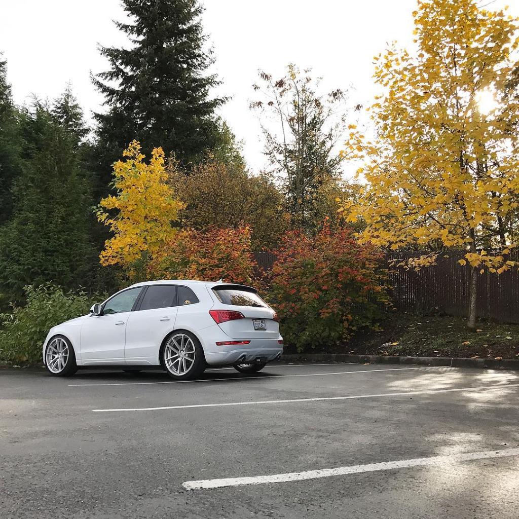 9179561743Q5.jpg