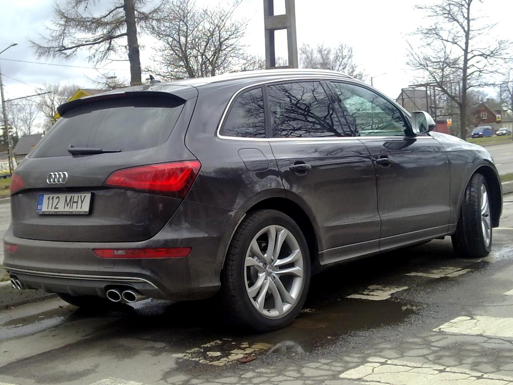919409AUDISQ5421.jpg
