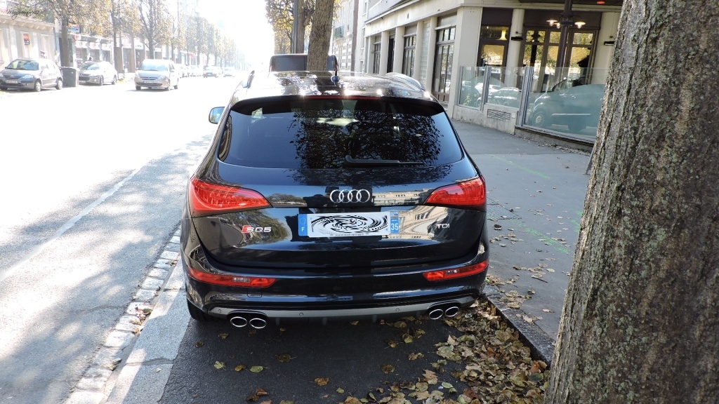 920429AUDISQ51416.jpg