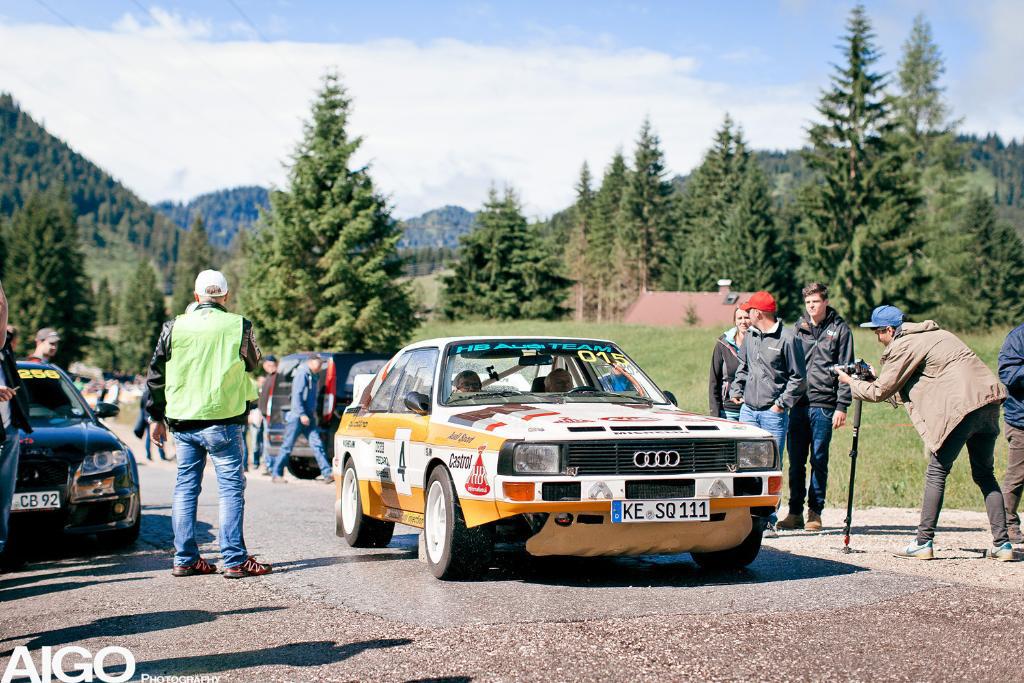 9239440194QUATTROLEDENDE2017.jpg