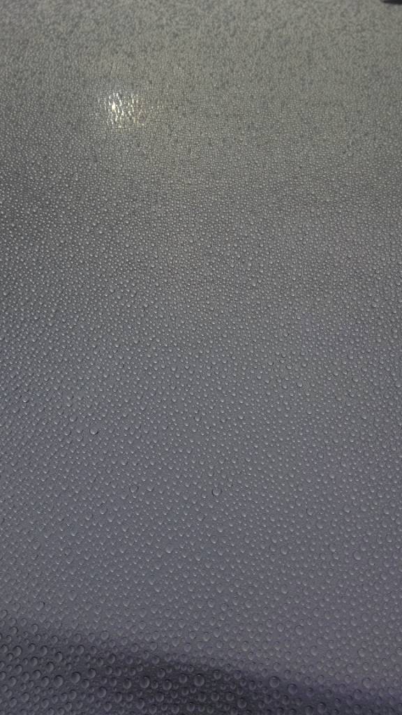 9245e625660b4d1e9468fef6c4b0b53b.jpg
