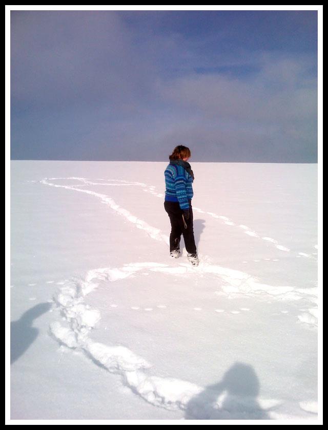 531735_10152566428745486_23902234_n.jpg?