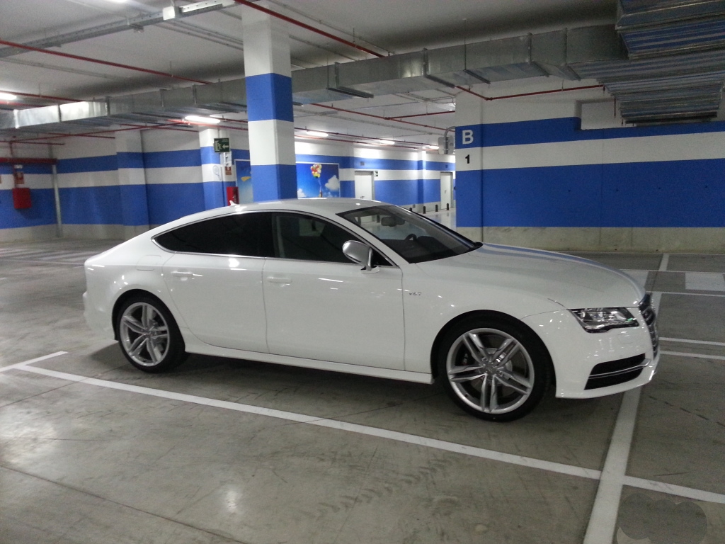 925131S7322.jpg