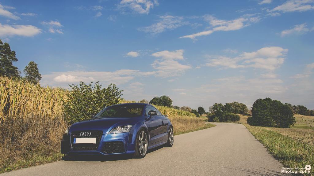 926246AUDITTRS1734.jpg