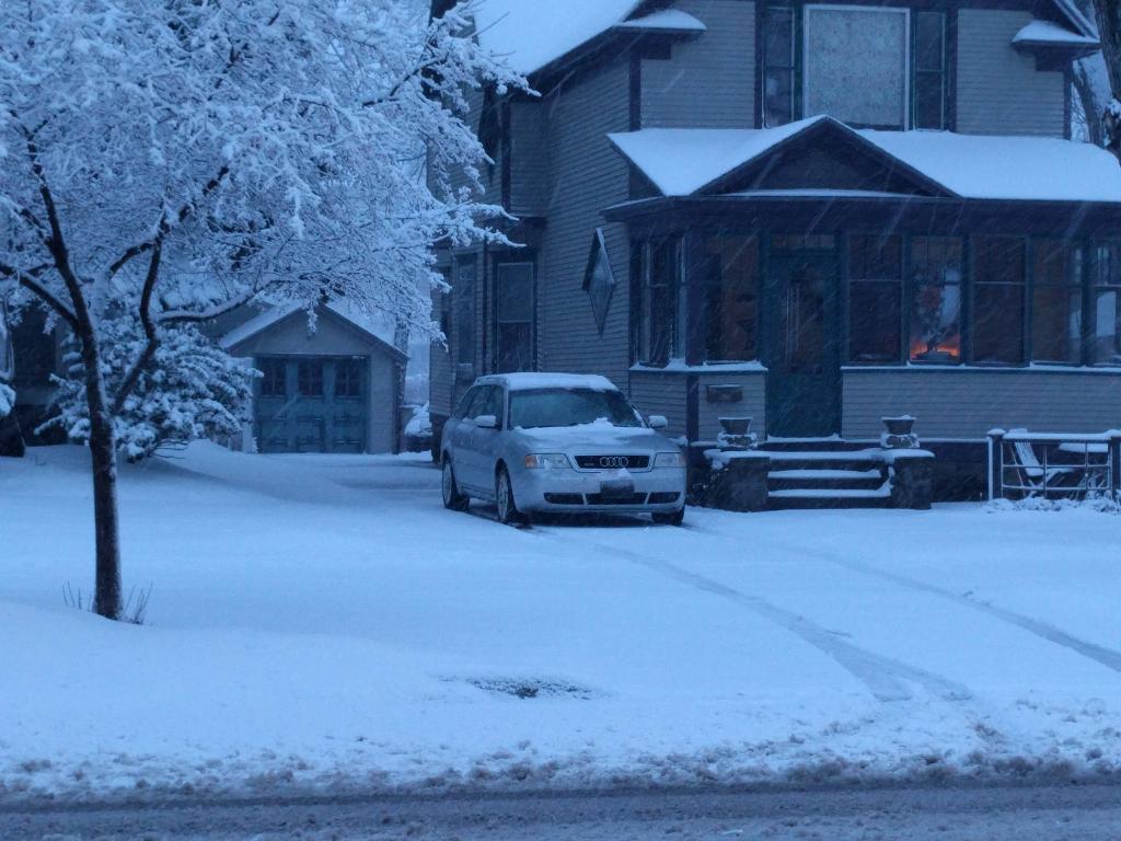 9264781746NEIGE.jpg