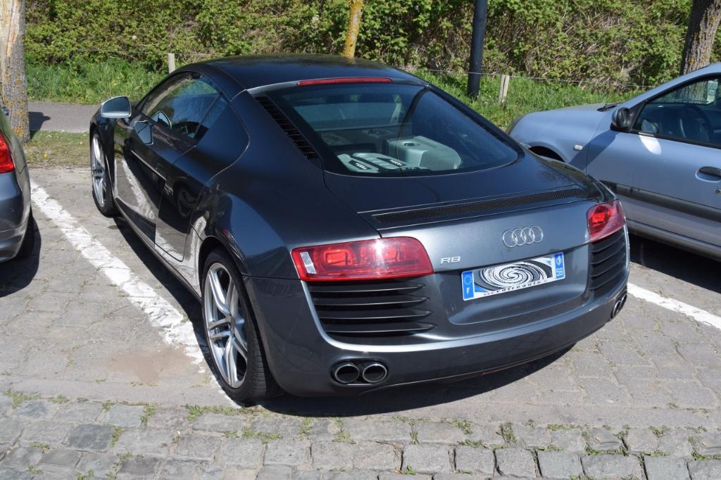 9266393117R8.jpg