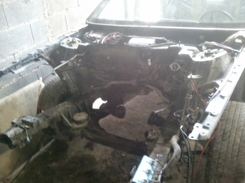 927394Photo7245.jpg