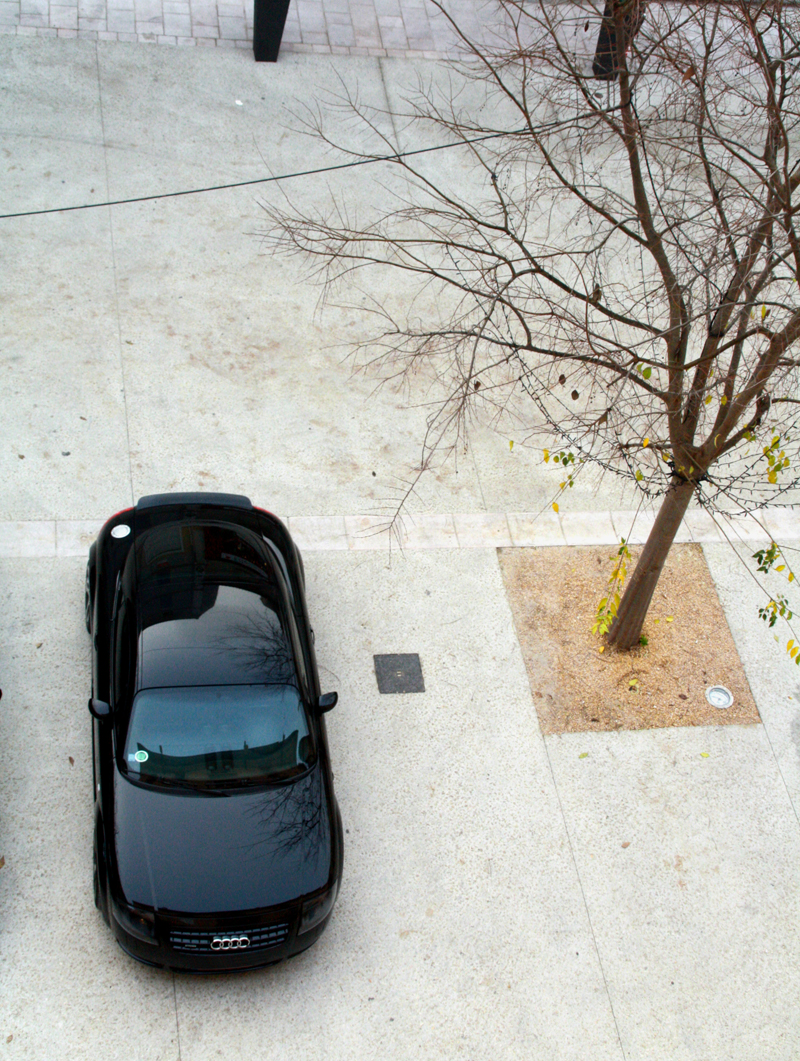 929395IMG3995800.jpg