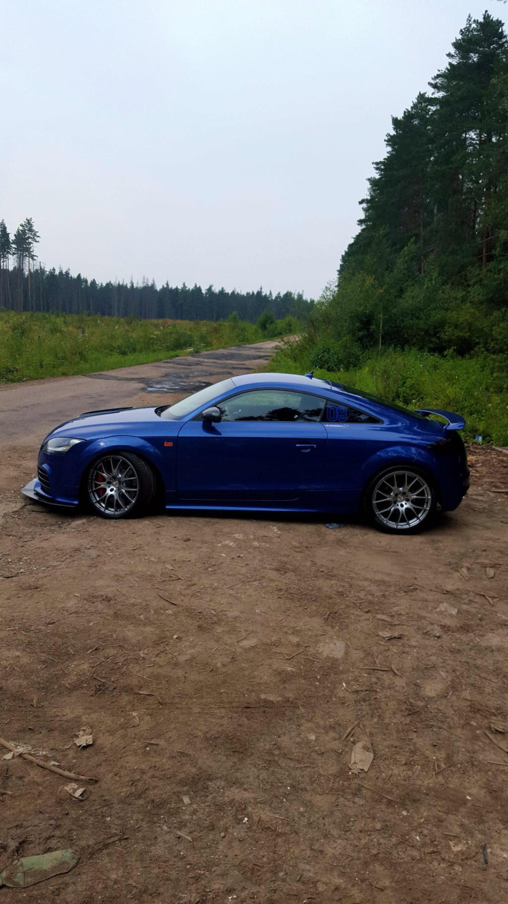 929995AUDITTRS2462.jpg
