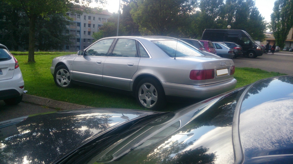930516DSC0349.jpg