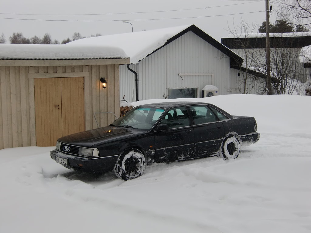 932184915NEIGE.jpg