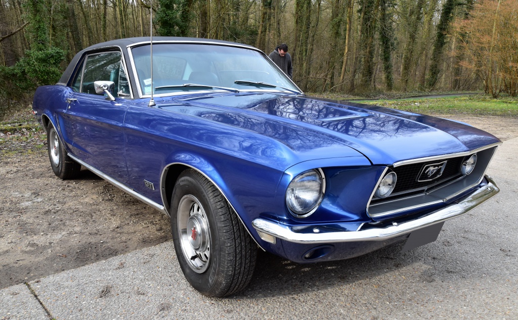 934293DSC00272x.jpg