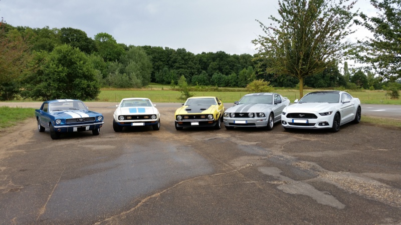 936086OTMustangs.jpg