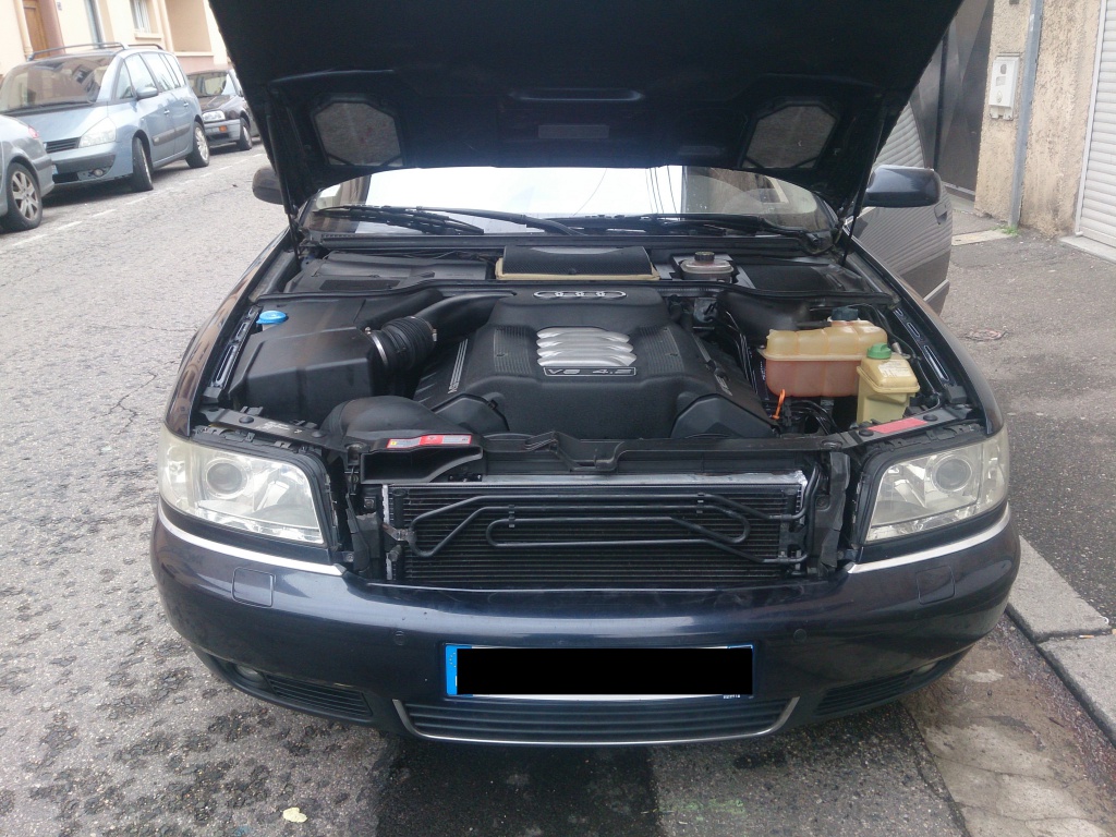 943383DSC0614.jpg