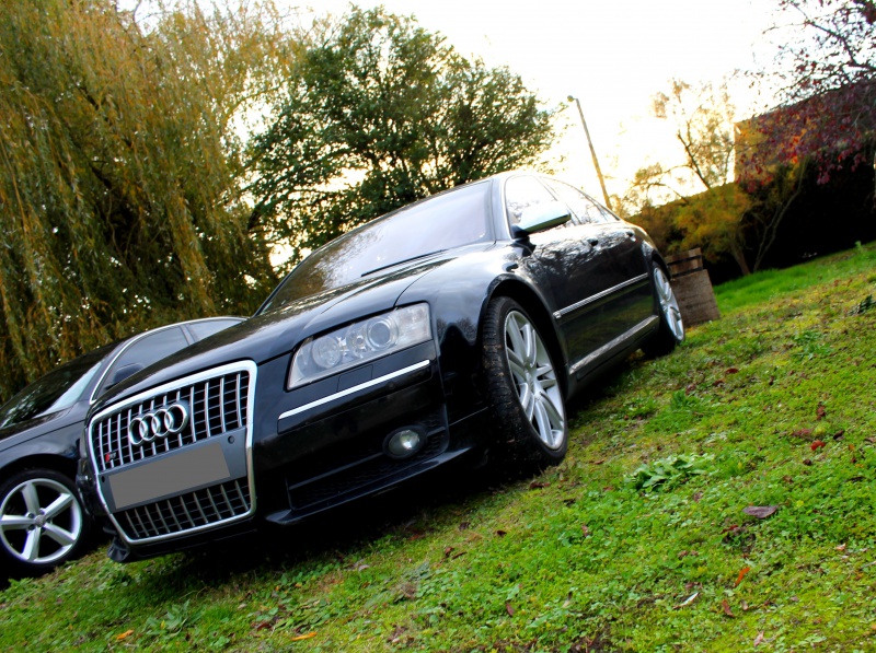 947444IMG4045.jpg